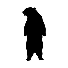 silhouette of bear. Bear Silhouette Animal isolated on white background