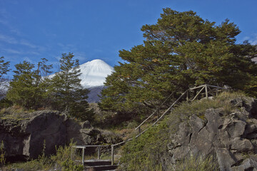 Snow capped peak of Antuco Volcano (2,979 metres) rising above a forested valley in Laguna de Laja...