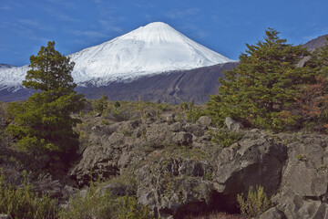Snow capped peak of Antuco Volcano (2,979 metres) rising above a forested valley in Laguna de Laja National Park in the Bio Bio region of Chile.