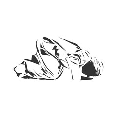 Islamic man praying Muslim Prayer