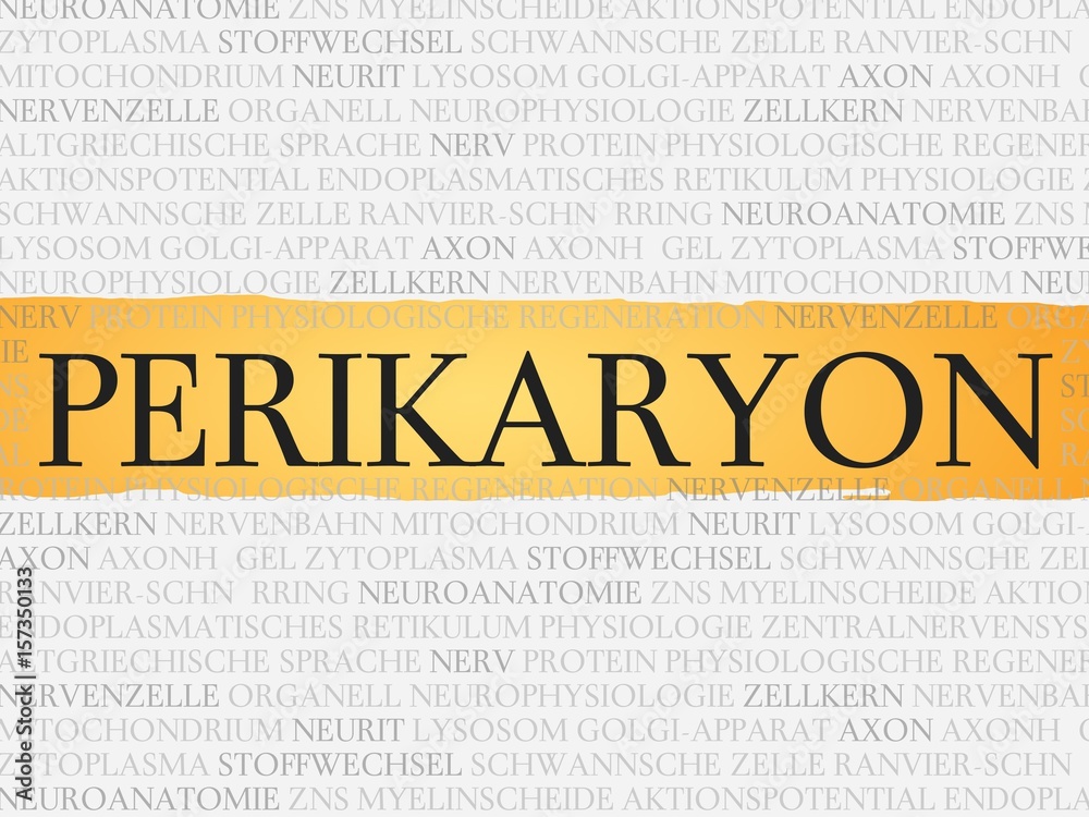 Canvas Prints perikaryon