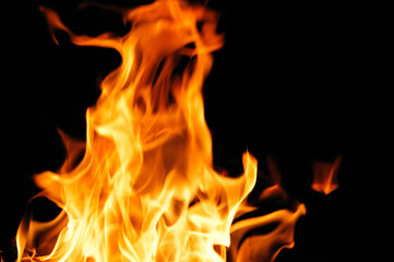 burning fire flame on the black background