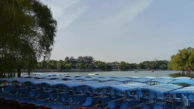 a row of blue boats on lake,swing willow in China Beijing Beihai Park.