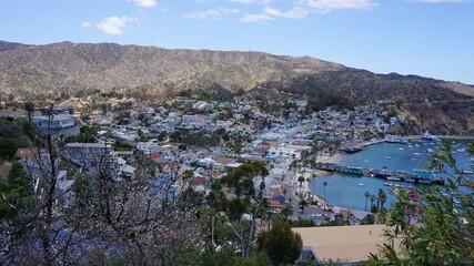Fototapeta na wymiar Catalina island