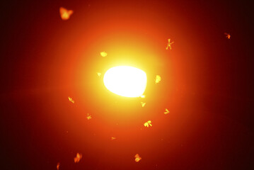 Glowing tungsten neon street lamp in the dark of the night and flying termite with motion blur...