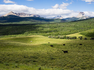 Chief Mountain and alpine scenery on the eastern border of Glacier National Park, USA