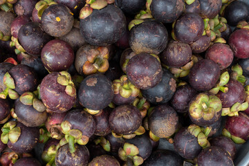 Mangosteen for sell in market