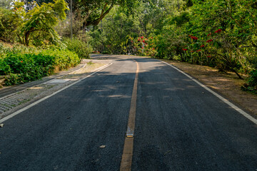 Yellow curve road sign