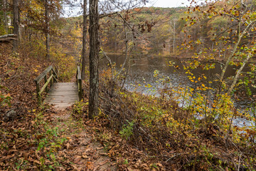 Autumn Trail