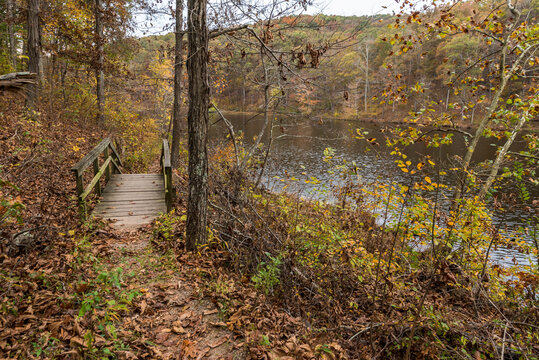 Autumn Trail
