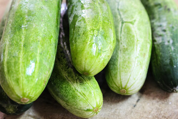 cucumber vegetable closeup organic plant food closuep