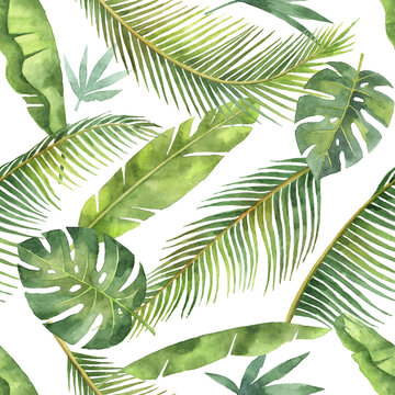 Watercolor seamless pattern with tropical leaves and branches isolated on white background.