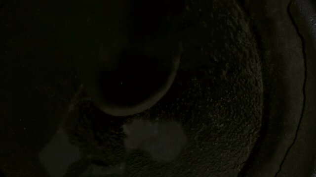 Cooking seasoned shrimp for chipotle shrimp tacos