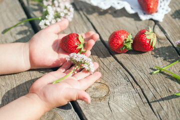 Child's hands holding strawberry and flowers on rustic eco background. Country life concept. Healthy eating