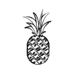 blurred thick silhouette of pineapple fruit vector illustration