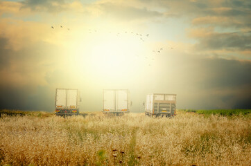 Three cargo trucks staying in autumn field