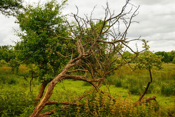 Landscape view