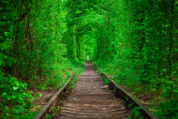 a railway in the spring forest tunnel of love