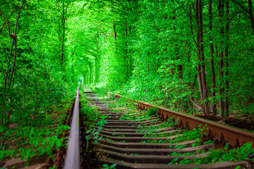 Fototapeta premium a railway in the spring forest tunnel of love