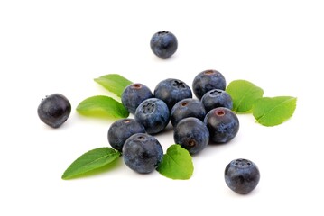Blueberries on white