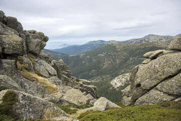 Scots pine forest in Siete Picos (Seven Peaks) range, in Guadarrama Mountains National Park, province of Madrid, Spain
