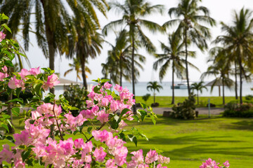 Antigua, Caribbean islands, English Harbour.  Idyllic tropical palm garden in the the Freeman&rsquo;s bay 