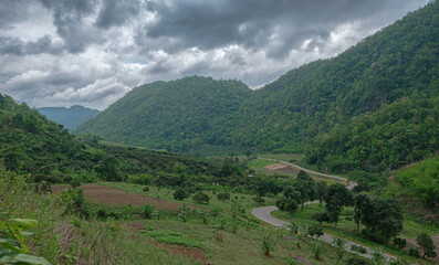 Idyllic summer landscape in the mountains with cows grazing on fresh green mountain pastures in the green valley and the mountain peaks in the background, North of Thailand,  mountain range