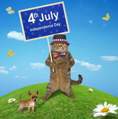 The cat patriot is holding a banner with the text "4th July independence day" in the meadow. 