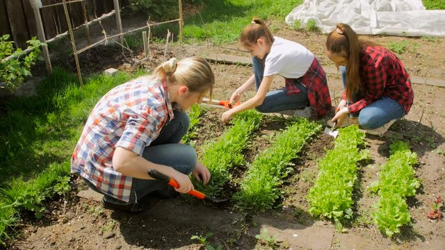 4K video of young mother with two daughters working in garden at sunny day