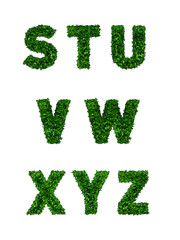 Alphabets of green leaves on white background
