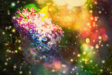 Fototapeta na wymiar Lilac Flower with Bokeh