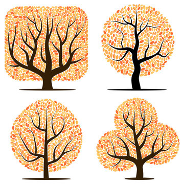 Four trees with yellow leaves isolated on a white background
