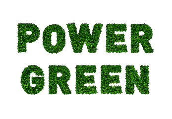 Power green, used by green leafs on white background