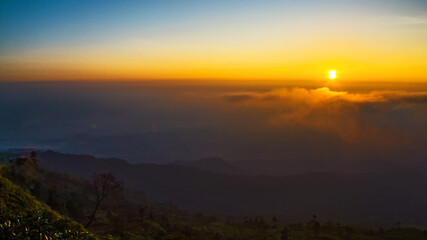 Obraz premium landscape with fog