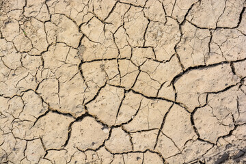 Cracked dry land in a desert