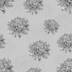 Seamless  floral pattern with silver gray  chrysanthemums 