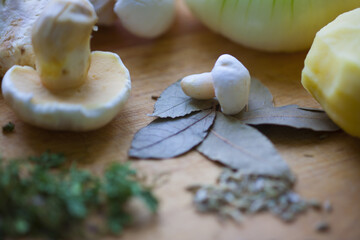 mushroom soup ingredients