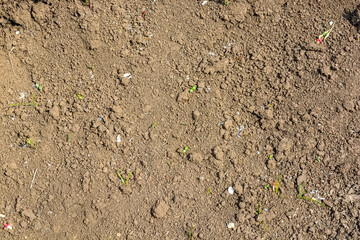 Brown soil texture