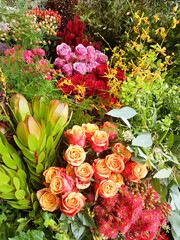 Colorful Roses Bouquet (Orange, Red, and Pink Roses) in Florist Shop