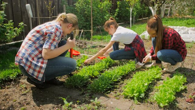 4K video of young woman teaching two girls how to take care of garden and spade lettuce