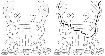 Easy crab maze