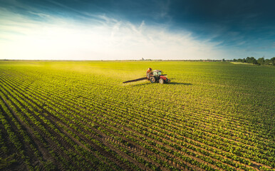 Tractor spraying soybean field at spring