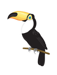 Toucan on branch. Tropical bird vector illustration on white background.