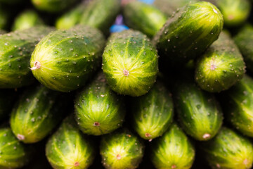 Showcase with cucumber
