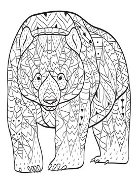 Vector coloring bear for adults