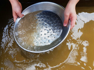 Gold Schürfen oder Waschen Finden