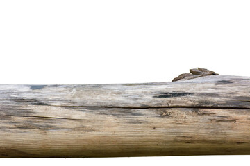 The timber for living isolated on a white background.