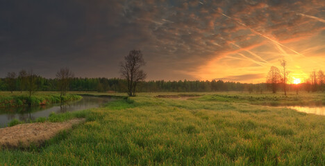 Vivid sunrise over meadow