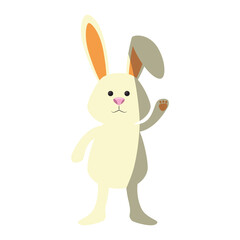 bunny animal nature vector icon illustration graphic design