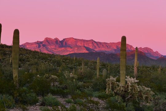 Sunset Ajo Range Organ Pipe Cactus NM landscape AZ